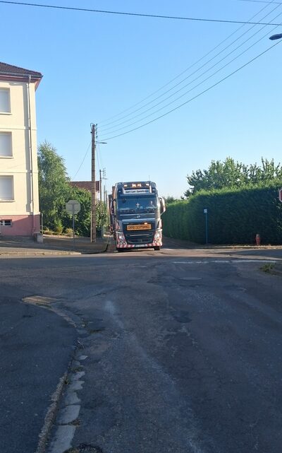 Ils sont là !